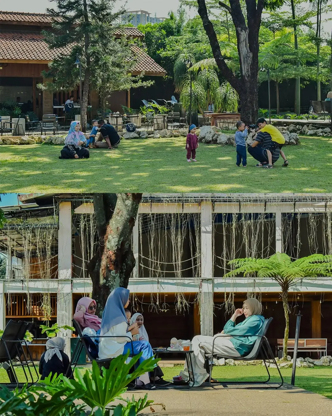Guests spread across the lawn with the café building behind
